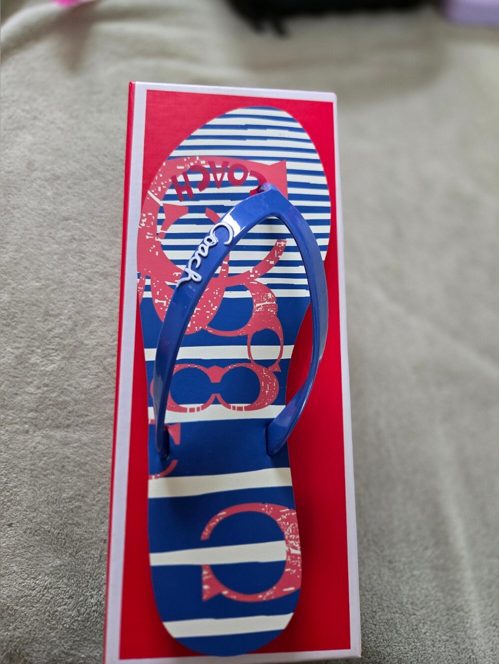 Coach Women's Blue Logo Flip Flop Sandals